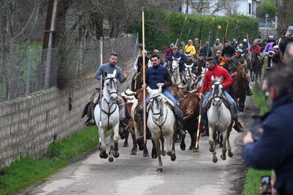 Grupo de jinetes a caballo durante el Carnaval del Toro