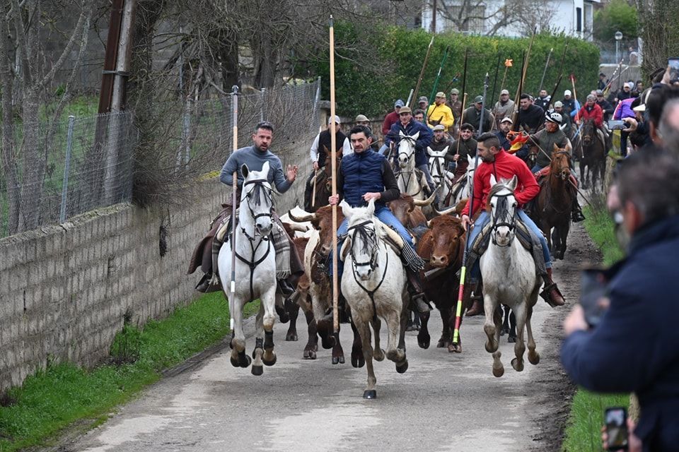 Grupo de jinetes a caballo durante el Carnaval del Toro