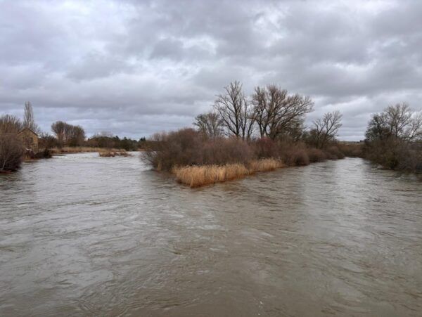 Vista del río Tormes con caudal elevado y vegetación ribereña