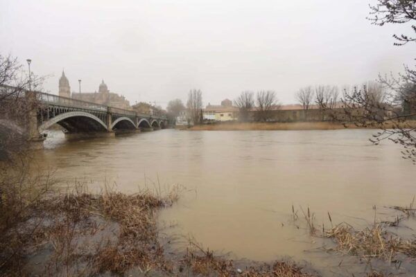 Vista del río Tormes con alto caudal y vegetación en la orilla