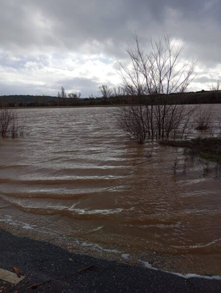 Inundación en Carbajosa de la Sagrada con árboles y agua