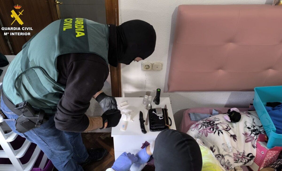 Intervención de la Guardia Civil en una plantación de marihuana