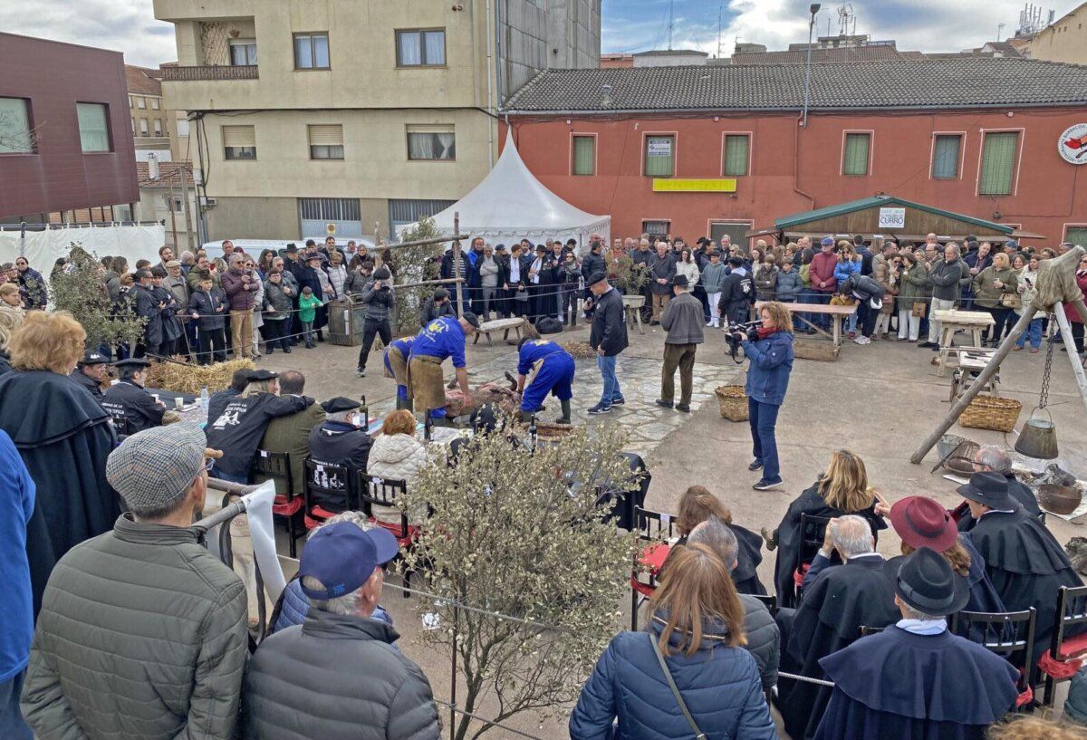 Celebración de la matanza en Guijuelo con gran afluencia de público.
