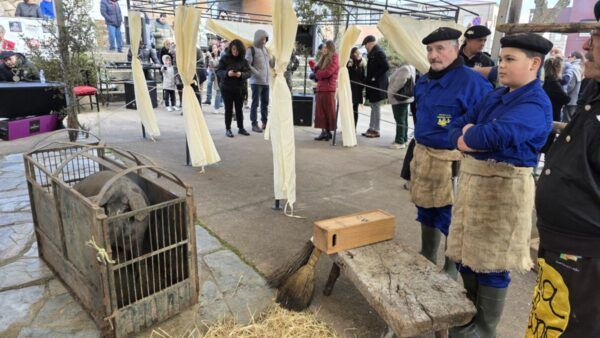 Participantes en la Matanza de Carnaval en Guijuelo observando un cerdo ibérico