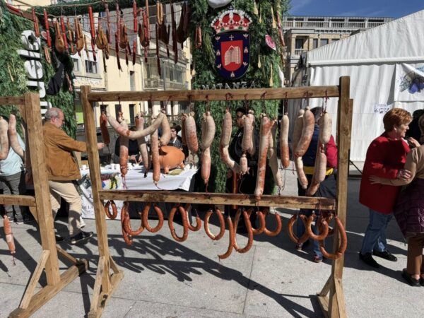 Exhibición de mondongo en la Fiesta del Mondongo en Guijuelo