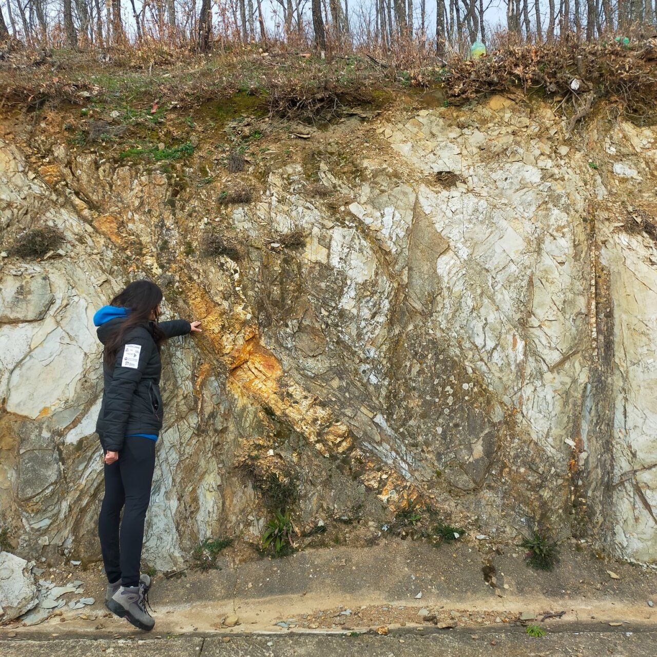 Persona señalando una roca con minerales en un entorno natural