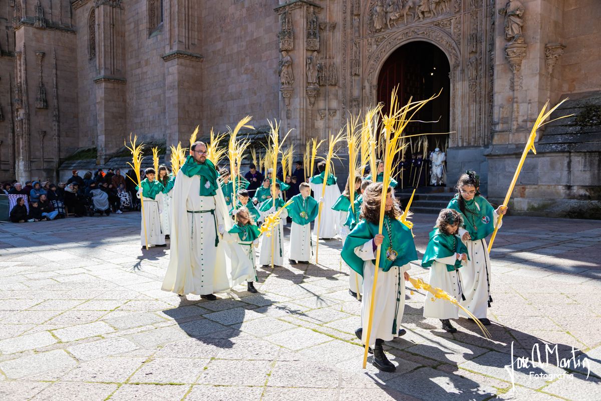 Procesión del Domingo de Ramos en Salamanca con niños y palmas