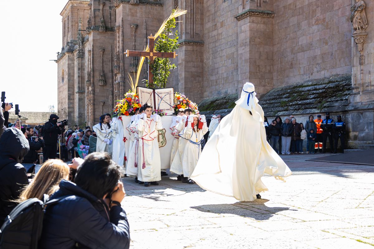 Procesión del Domingo de Ramos en Salamanca con la Hermandad Jesús Amigo de los Niños