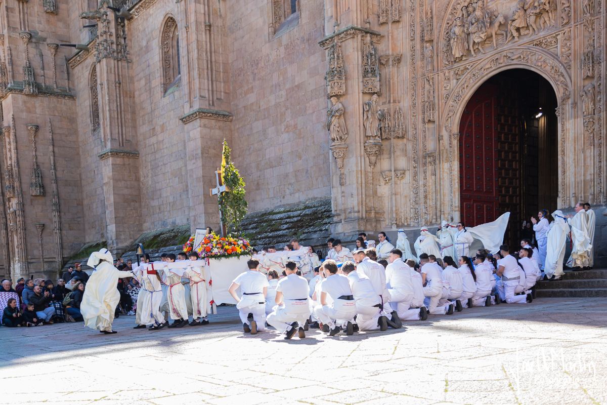 Procesión del Domingo de Ramos en Salamanca con la Hermandad Jesús Amigo de los Niños.