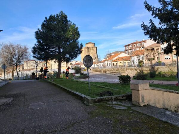 Trabajadores realizando mantenimiento en una calle de Alba de Tormes