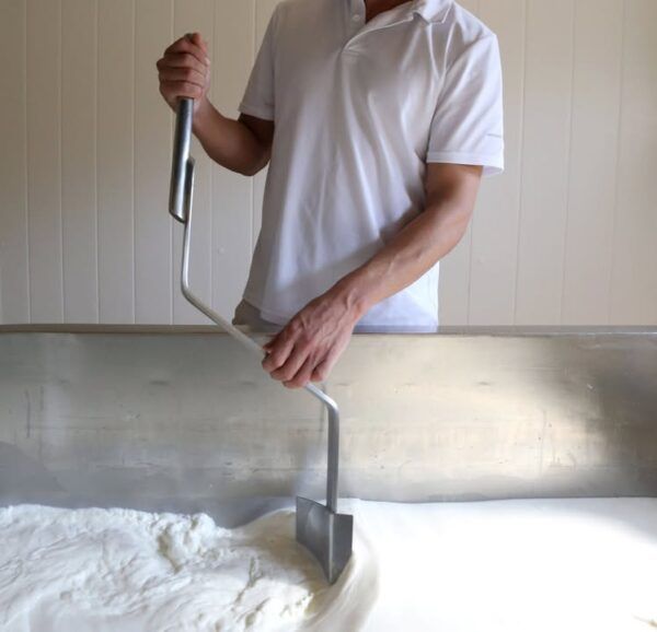 Persona trabajando en la industria agroalimentaria con una herramienta de metal.