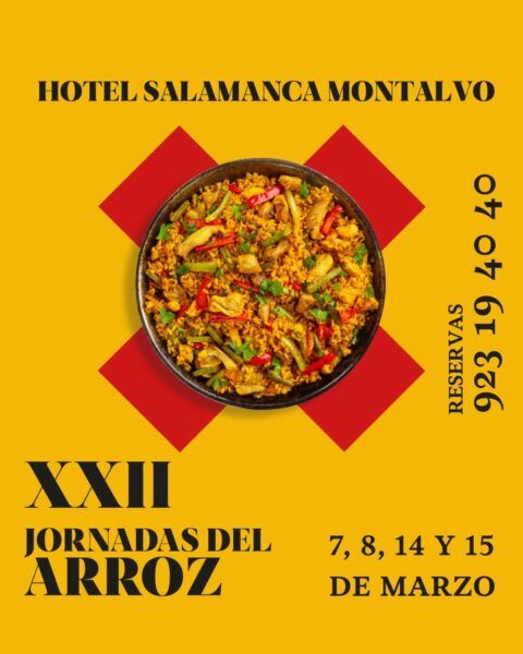 Plato de arroz con verduras y carne en evento solidario