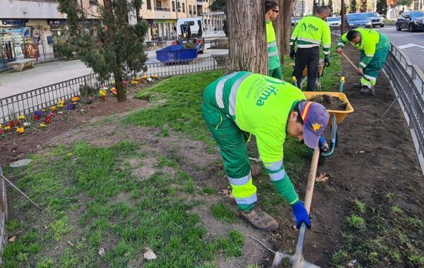 Trabajadores renovando jardines en Salamanca con flores coloridas