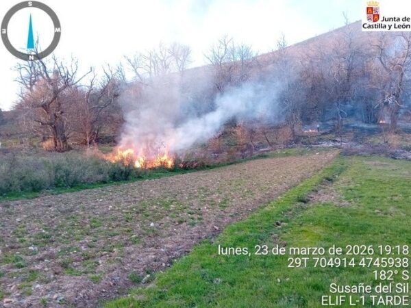 Incendio forestal en Castilla y León con humo y llamas visibles