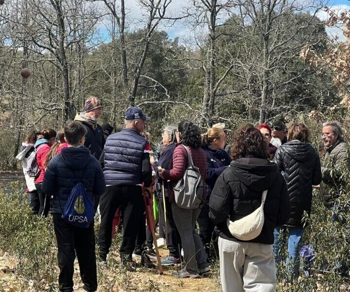 Grupo de personas en una ruta interpretativa en Valdelosa