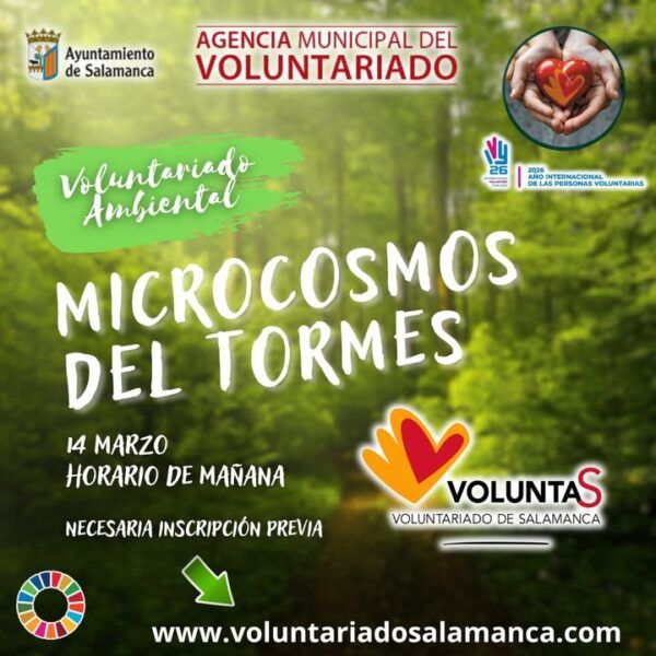 Cartel de actividad de voluntariado ambiental en Salamanca