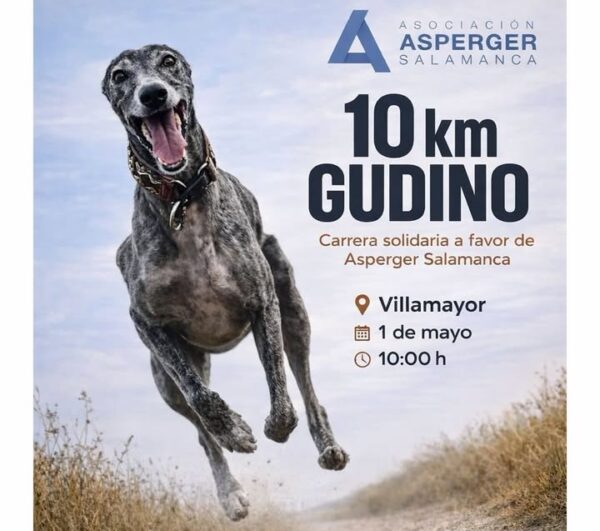 Perro corriendo en evento 10K solidario en Villamayor