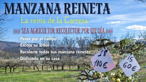 Cartel promocional de la experiencia de recolección de manzanas reineta en La Carrera.