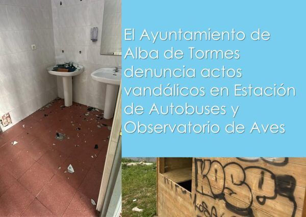 Daños en la estación de autobuses y observatorio de aves en Alba de Tormes.