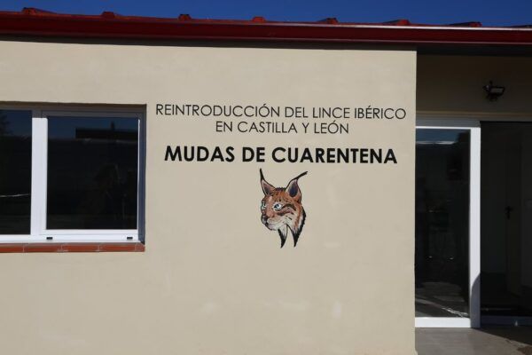 Muro con información sobre la reintroducción del lince ibérico en Castilla y León