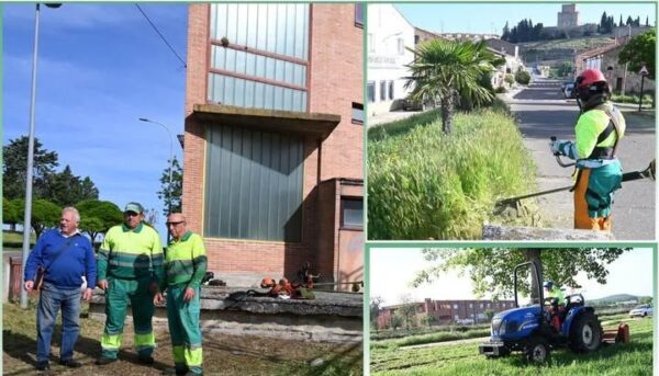 Operarios realizando labores de desbroce en Ciudad Rodrigo