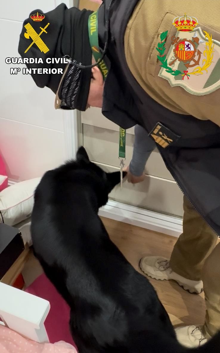 Agente de la Guardia Civil interactuando con un perro durante una operación
