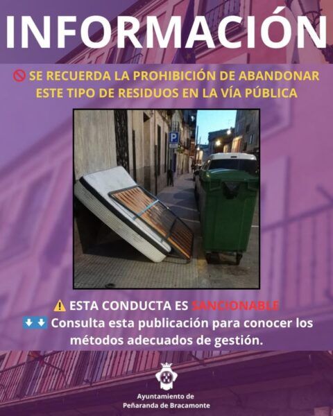 Residuos voluminosos abandonados en la vía pública junto a un contenedor