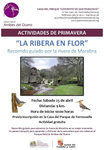 Paseo guiado por la ribera de Moralina en primavera