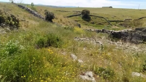 Vista del Regato del Valle de Palomares con flores y vegetación