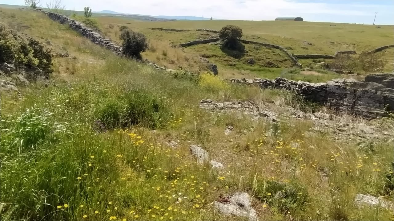 Vista del Regato del Valle de Palomares con flores y vegetación