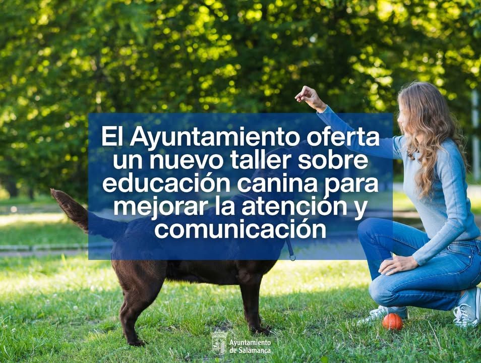Mujer enseñando a su perro en un taller de educación canina