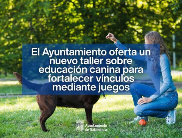 Taller de educación canina en Salamanca con dueño y perro jugando