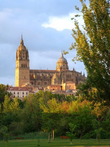 Vista de la Catedral de Salamanca al atardecer con árboles en primer plano