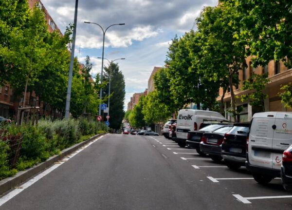 Vista de la avenida Alfonso IX en Salamanca con árboles y coches aparcados