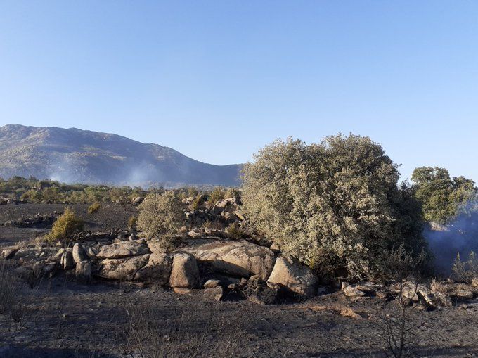 Paisaje afectado por incendios forestales en Castilla y León