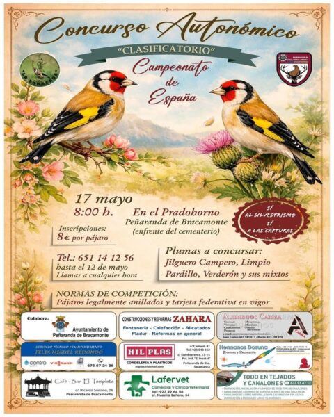 Cartel del concurso de canto de aves en Peñaranda de Bracamonte