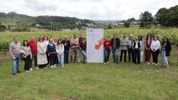 Grupo de personas en un viñedo durante reunión de proyecto turístico sostenible