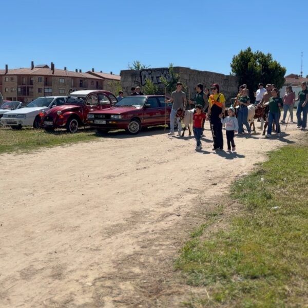 Niños participando en el encierro infantil de Villamayor con mini bueyes.