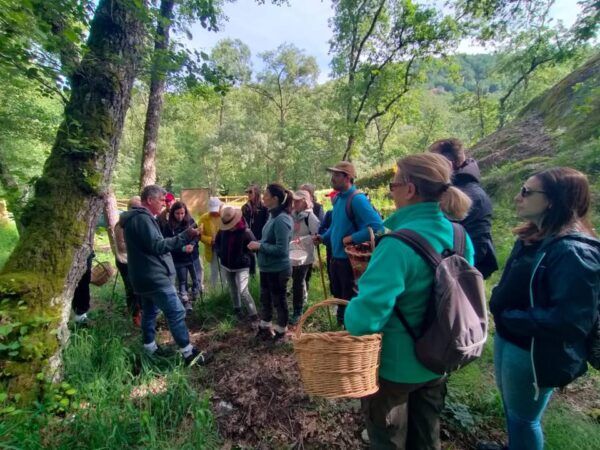 Grupo de personas participando en una jornada micológica en el bosque.
