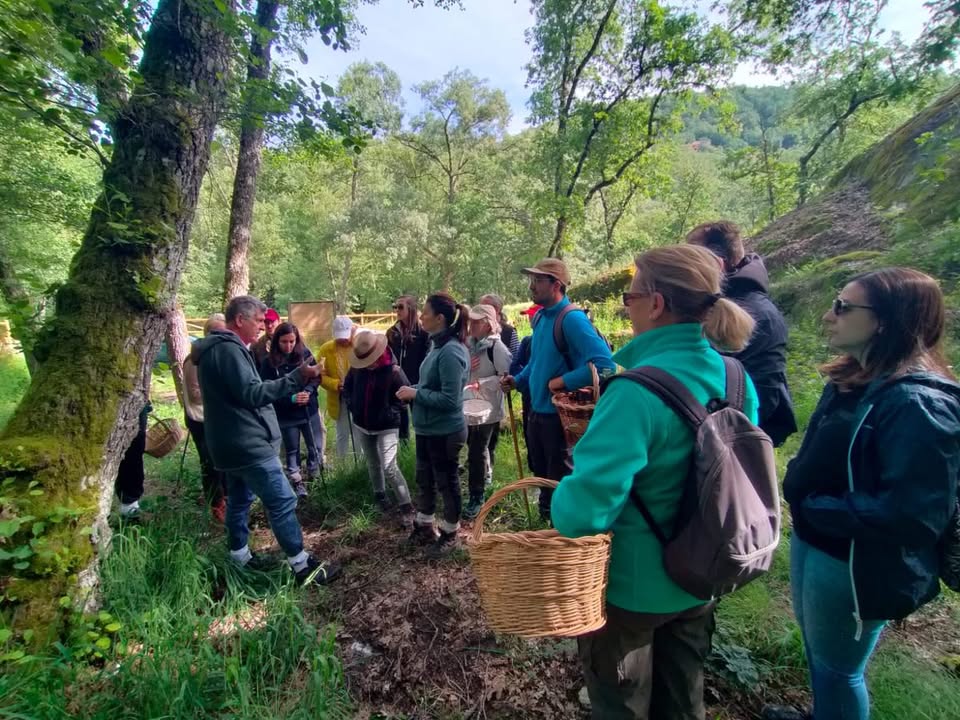 Grupo de personas participando en una jornada micológica en el bosque.