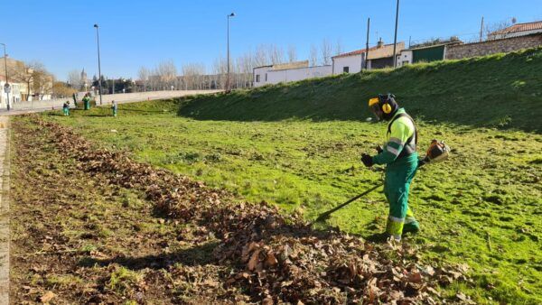 Trabajadores realizando limpieza en solares municipales de Salamanca