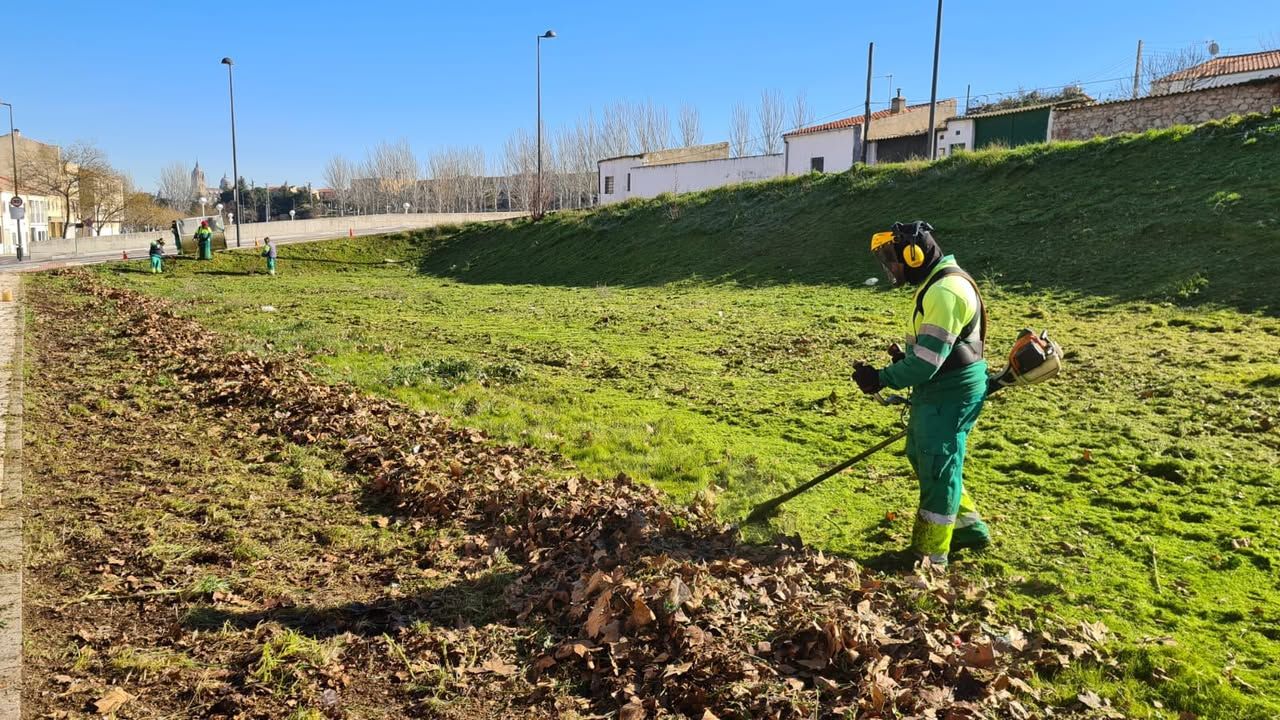 Trabajadores realizando limpieza en solares municipales de Salamanca