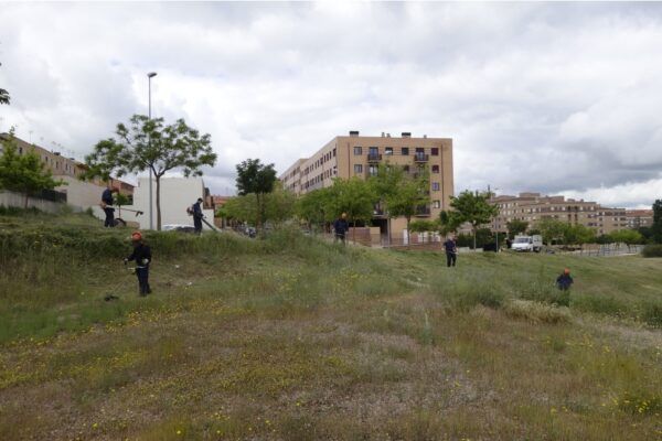Trabajadores realizando limpieza en solares y zonas verdes en Salamanca