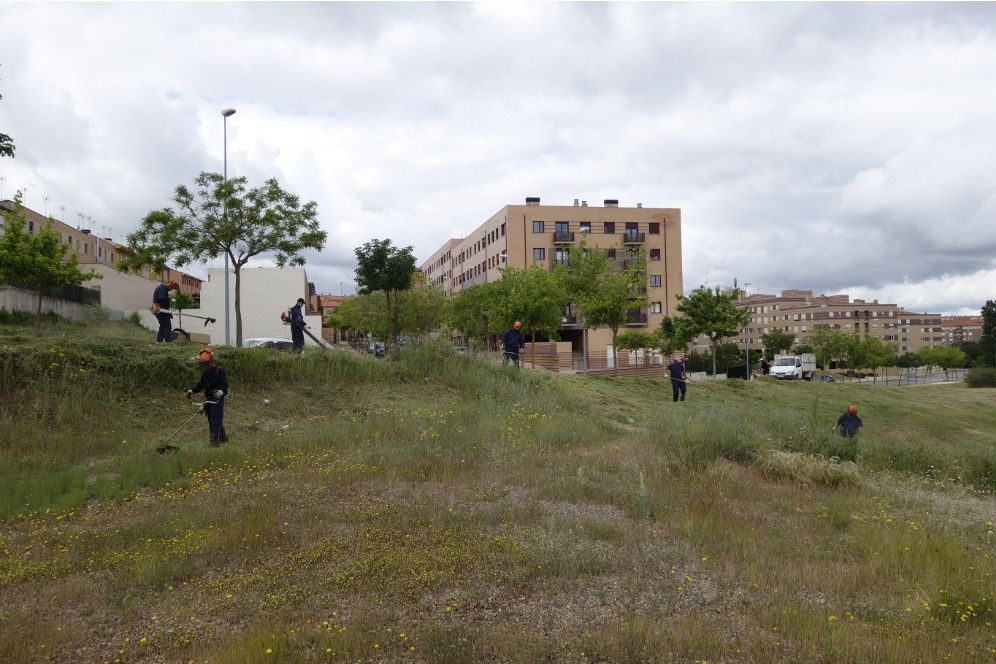 Trabajadores realizando limpieza en solares y zonas verdes en Salamanca