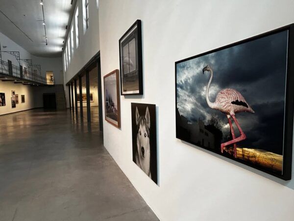 Interior de una galería de arte con diversas obras expuestas en las paredes