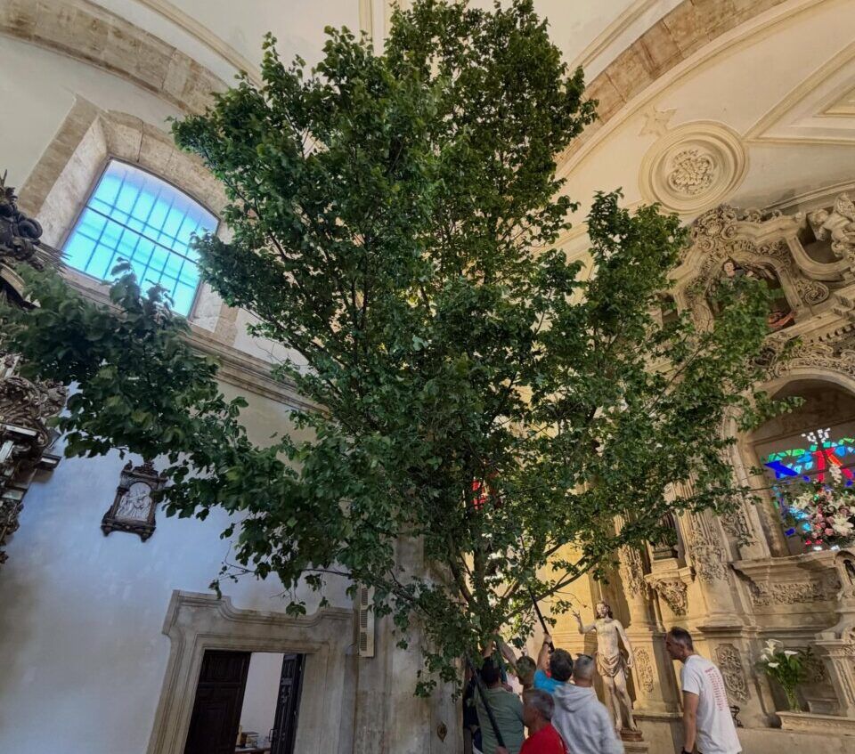 Grupo de personas levantando un árbol en la iglesia durante la fiesta del Ramo