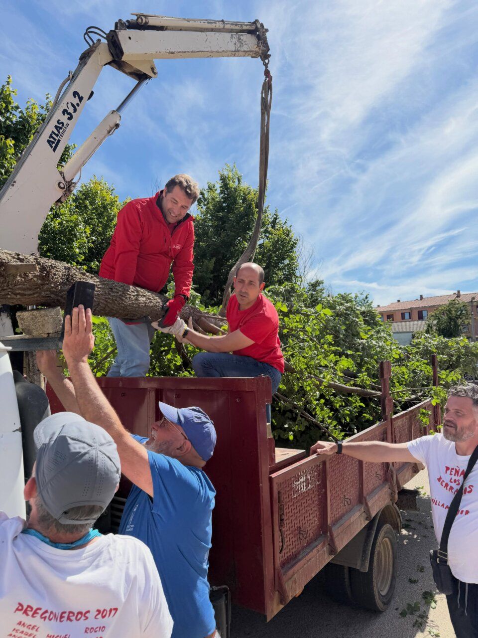 Participantes levantando un tronco durante la tradición del Ramo en Villamayor