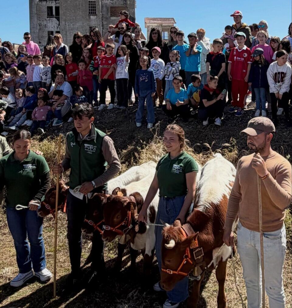 Multitud de personas y niños en las fiestas de Villamayor con vacas.