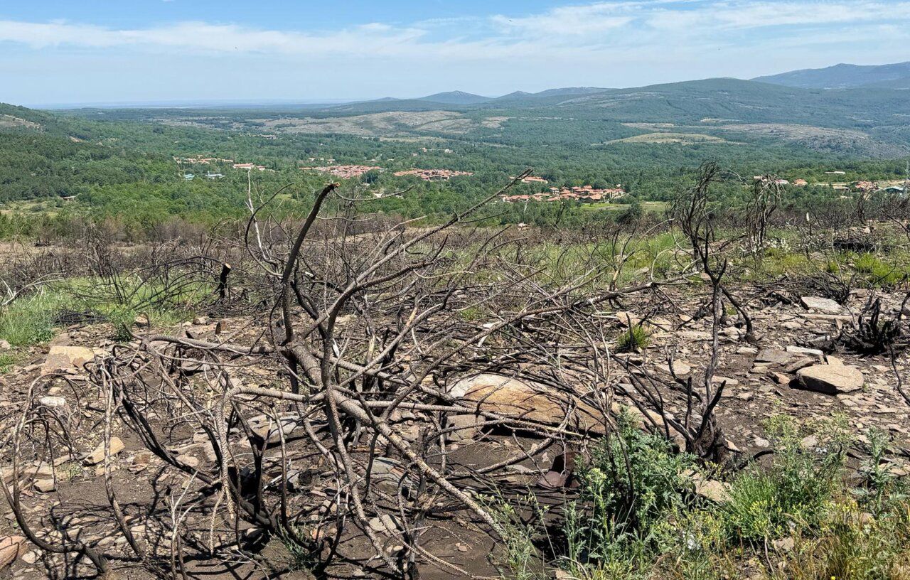 Vista de los montes de La Alberca tras los incendios, con vegetación quemada.