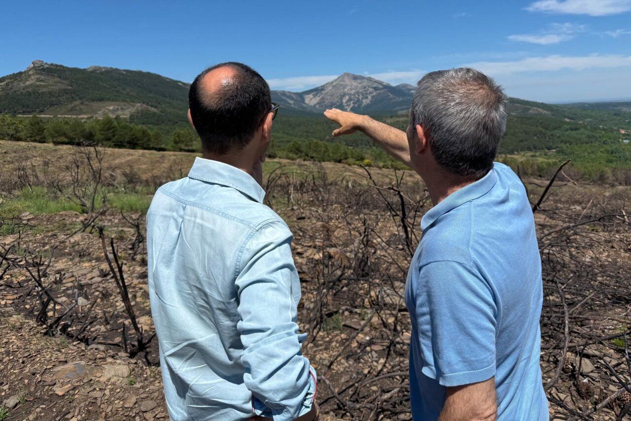 Dos hombres observando el paisaje afectado por incendios en La Alberca